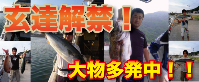 gentatsu 玄達解禁 大物多発中!